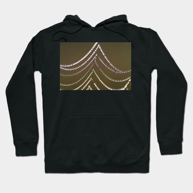 spiderweb christmas tree Hoodie by graphius